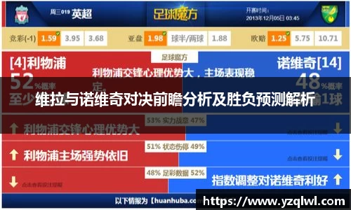 维拉与诺维奇对决前瞻分析及胜负预测解析