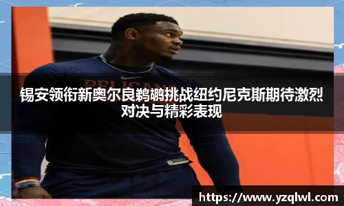 雷竞技raybet官方网站